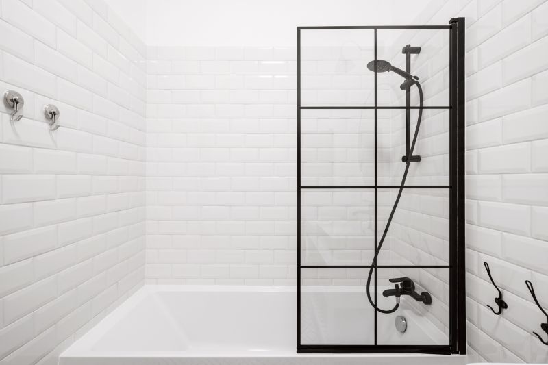 Sleek Black Framed Shower